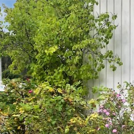3 Bedroom Nice In Lunde